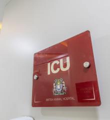 Intensive Care Unit